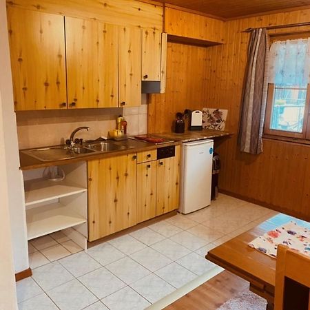 Guenstig Und Einfaches Studio Auf Dem Bauernhof Zuoz Dış mekan fotoğraf